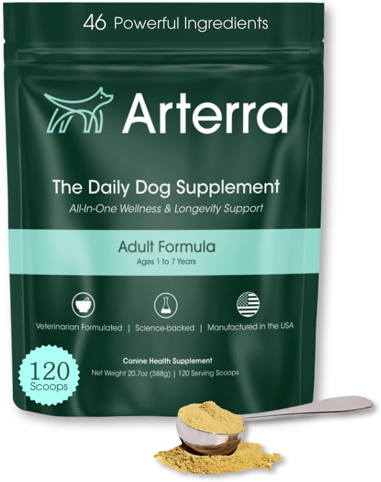 Supplément de poudre de chien adulte et d'aliment Topper – 46 ingrédients pour la santé du Gut, de l'Immune et du cerveau – Multivitamine quotidienne longuevitamine pour le bien-être du corps entier