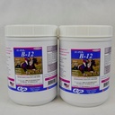SUPER B12 pour chevaux - Vitamines équidés B-12 et B-9 Poudre de soutien à l'acide folique - Supplément pour chevaux énergétiques - 2,5 livres, (2 paquets)