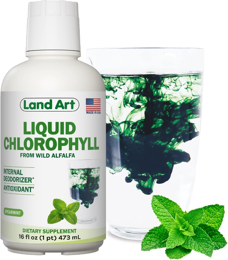 Land Art - Liquid Chlorophyll Mint – Cold-Extracted from Wild Non-GMO Alfalfa – Natural Clorofila Liquida – Antioxidant - Detox Supplement – Boost Energy – Alkalizing & Body Odor Neutralizer – 16 floz