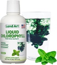 Land Art - Liquid Chlorophyll Mint – Extrait à froid de l'Alfalfa sauvage non OGM – Natural Clorofila Liquida – Antioxydant - Supplément de détox – Boost Energy – Alcalizing & Body Odor Neutralizer – 16 floz