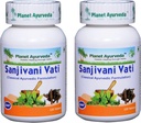 Planet Ayurveda Sanjivani Vati - Herbal Tablets, 100% Natural and Pure - 2 Bottles(Each Bottle Contains 120 Tablets)