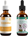 Rejuvica Health Active Rhodiola + Active Adrénal - Soutien Énergie + Stress - Livraison liquide pour une meilleure absorption - Rhodiola, Ashwagandha, Saint Basil et plus!