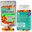 BIO VITALICA Elderberry and Irish Sea Moss Gummies (Bundle)