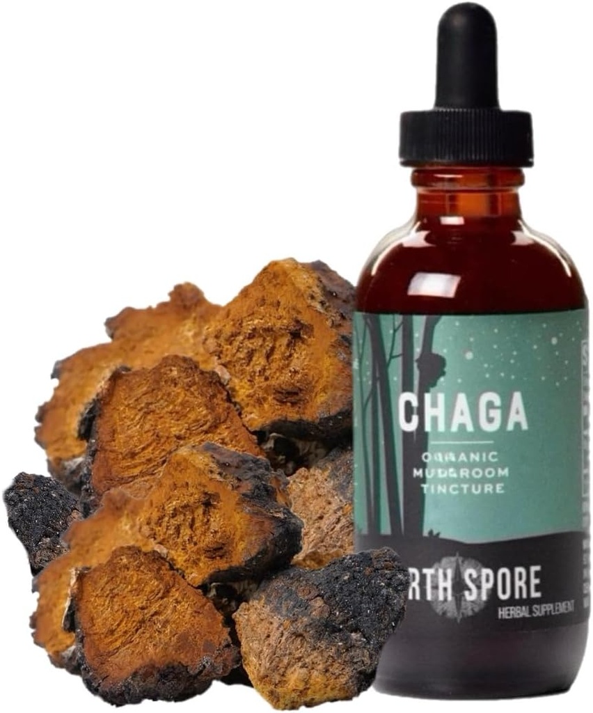 North Spore Chaga Mushroom Tecture de l'énergie et du bien-être Supplément de stimulation gouttes Adaptogène Superfood de l'extrait double mélange organique, 100% corps fruitiers , non-OGM, végétalien - 2oz