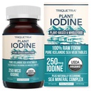 Supplément d'iode biologique du complexe des légumes de mer, aliments entiers et forme brute - Complexe minéral d'iode plus de traces – Contient la mer d'Islande la plus pure Kelp, la mousse d'Irlande & Bladderwrack (250 mcg)