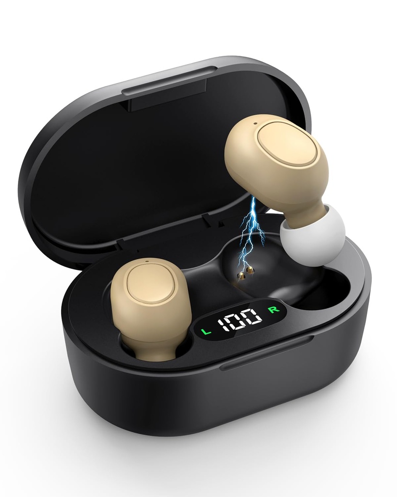 Aides auditives pour les aînés - Aides auditives rechargeables pour perte auditive avec réduction intelligente du bruit, amplificateur auditif invisible avec contrôle de volume et cas de charge portable