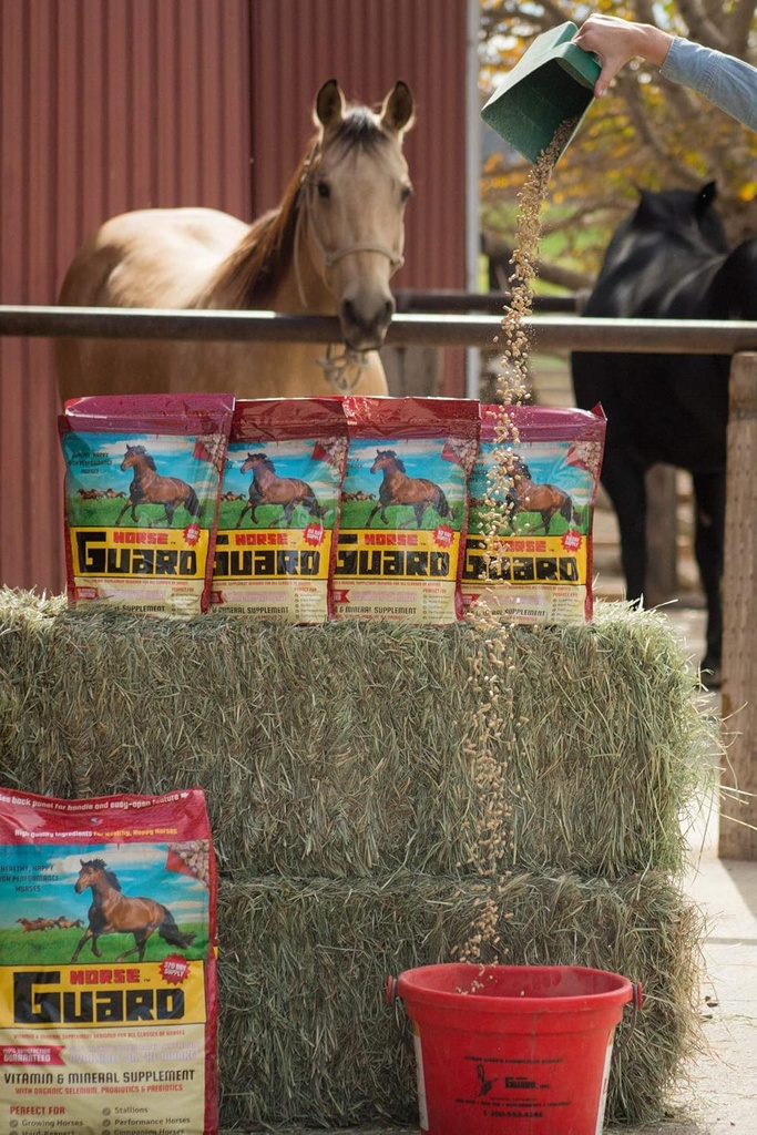 Horse Guard 4,6 lb, supplément minéral de vitamine équine avec sélénium organique et vitamine E