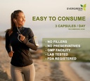 Supplément d'herbes Evergreen Capsules à base de plantes 90 Compte (Senna Leaf) - Tamper Proof Seal pour assurer la fraîcheur.