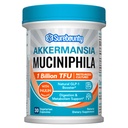 Akkermansia Probiotic GLP-1, 1 Million TFU, Akkermansia Muciniphila avec prébiotique Inulin Fiber, Gut Health for Men & Women, végétalien, non-OGM, 30 capsules