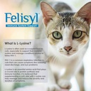 Gel L-Lysine pour chats - Soutien du système immunitaire - Soutien supplémentaire pour la santé des tissus, des voies respiratoires et de la vision - Saveur de saumon - Fabriqué aux États-Unis - 5 oz