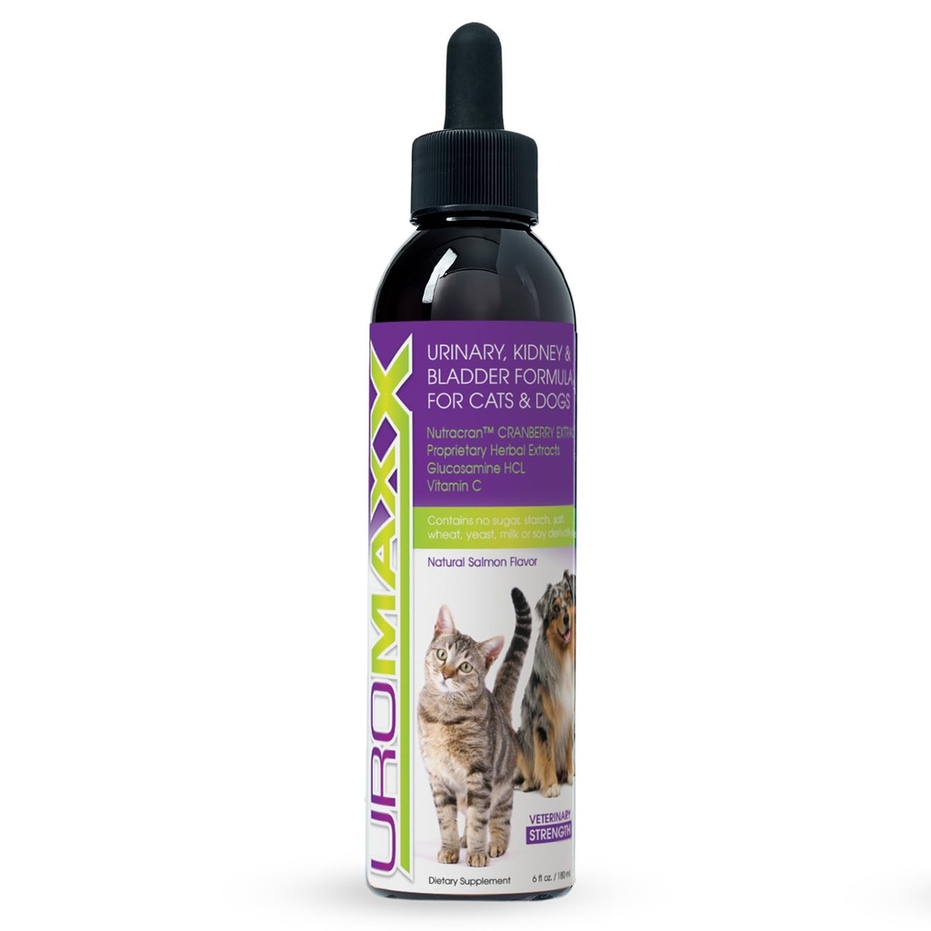 Cat & Dog Traitement urinaire, support pour chiens et chats, soins puissants mais doux pour animaux de compagnie, avec canneberge liquide et glucosamine, parfum de saumon, bouteille de 6 oz, 1 paquet