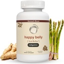 Relief de l'acide et de l'indigestion, alternative antiacide sécuritaire pour les reflux d'acide occasionnels et brûlures d'estomac, gingembre, Curcumine, Spearmint & More – Phd Doctor-formulé et cliniquement étudié - 30 portions