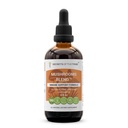 Secrets of the Tribe Mushrooms Blend Alcohol-Free, Glycerite Chaga, Shiitake, Maitake, Cordyceps, Reishi Mushroom. Teinture, extrait d'herbe Immune Support Formule 4 OZ