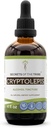 Secrets de la tribu Cryptolepis Teinture Extrait d'alcool, gouttes à base de plantes de haute puissance, Teinture faite de Cryptolepis Singunolenta 4 oz