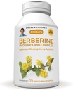 ANDREW LESSMAN Berberine Phospholipid Complex 60 Capsules - Barberry Root Extract. Small Easy to Swallow Capsules