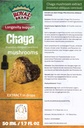Gouttes de Teinture Chaga/Mushroom Chaga/Mieux que Capsules de Champignon Chaga/Dose élevée/Liquid Extract Drops / 1,7 FL OZ / 50 ml