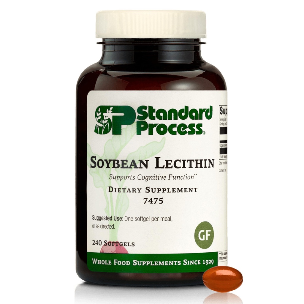 Processus standard Lécithine de soja - Supplément de soutien à la santé cérébrale - Supplément alimentaire complet nutritionnel avec acides gras essentiels de lécithine de soja - 240 Softgels