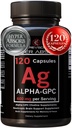 Supplément Alpha GPC & BioPerine pour Hyper Absorption - 120 Compte, Alpha-GPC 600mg par service - Nootropics pour Mémoire, Focus, Énergie, & Drive - Suppléments Choline pour stimuler l'acétylcholine, Fabriqué aux États-Unis