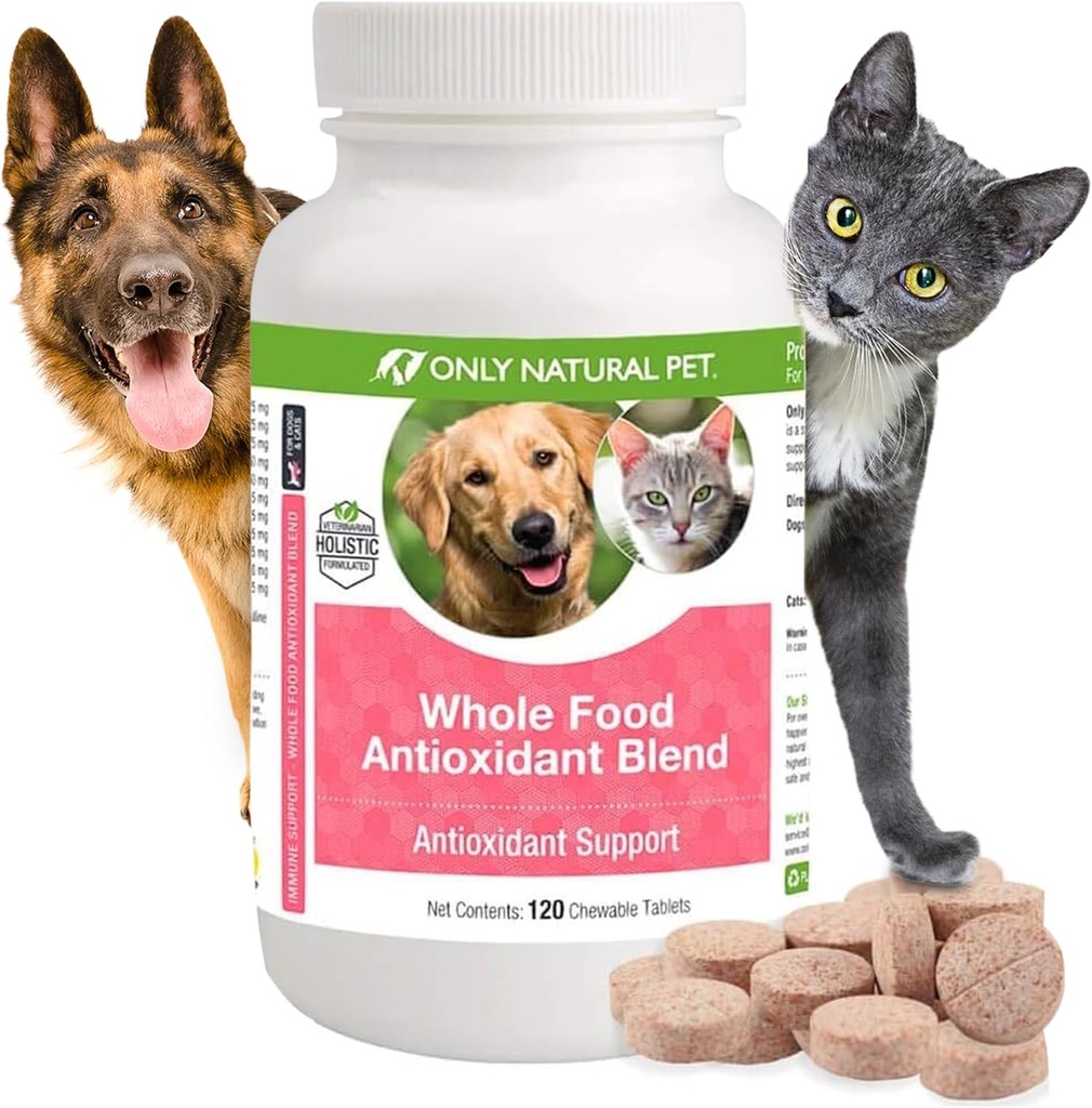 Uniquement aliments naturels pour animaux entiers antioxydants Green Tea & Berry Antioxydant supplément de vitamine pour chiens, pour soutenir un système immunitaire sain, combattre les dommages radicaux libres - 60 Chews doux