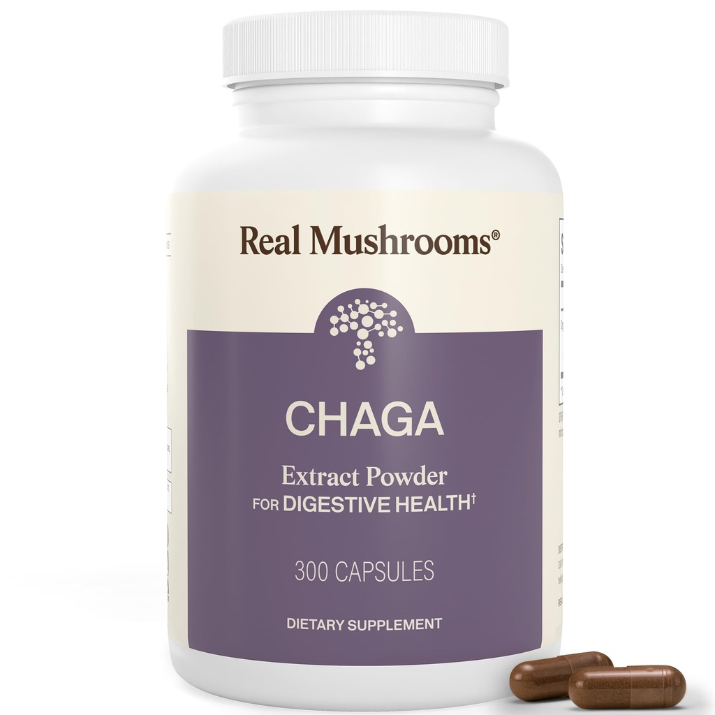 Véritables champignons Capsules de champignons Chaga – Poudre d'extrait de chaga biologique avec poudre d'extrait pour le bien-être et le soutien énergétique – végétalien, non-OGM, 300 capsules – supplément de champignons biologiques