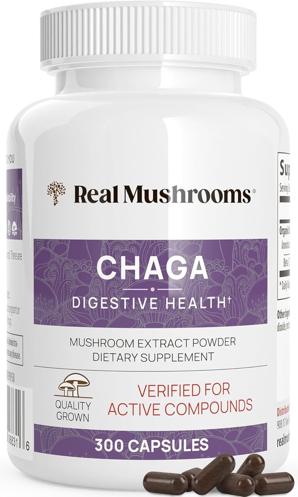 Véritables champignons Capsules de champignons Chaga – Poudre d'extrait de chaga biologique avec poudre d'extrait pour le bien-être et le soutien énergétique – végétalien, non-OGM, 300 capsules – supplément de champignons biologiques