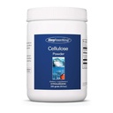 Groupe de recherche sur l'allergie Poudre de cellulose - Poudre de cellulose microcristalline, 2000mg Supplément de fibre insoluble, Cellulose en poudre, non fermentable, hypoallergénique - 8,8 Oz