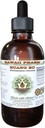 Hawaii Pharm Huang Bo Alcohol-Free Liquid Extract, Huang Bo, Huang Bai, Amur Cork Tree (Phellodendron Chinense) Bark Glycerite Natural Herbal Supplement 2 oz