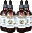 Hawaii Pharm Oregon Extrait liquide sans alcool de raisin, Oregon Raisin (Mahonia aquifolium) Racine séchée Glycérite supplément naturel à base de plantes, États-Unis 4x4 fl.oz