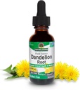 Nature's Answer Dandelion Root 2000mg 1oz Extract | Promotes Overall Well-Being | Alcohol & Gluten Free, Non-GMO, Vegan, No Preservatives or Artificial Flavors | Single Count