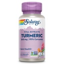 SOLARAY Supplément curcuma 300 mg - Extrait de racine curcuma avec 95% Curcumin - Supplément de soutien conjoint pour la santé et le confort - Non-OGM, végétalien, sans gluten, garantie de 60 jours, 60 portions