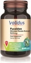VALIDUS Fucoidan 500 mg 30 gélules (Dr.caps)