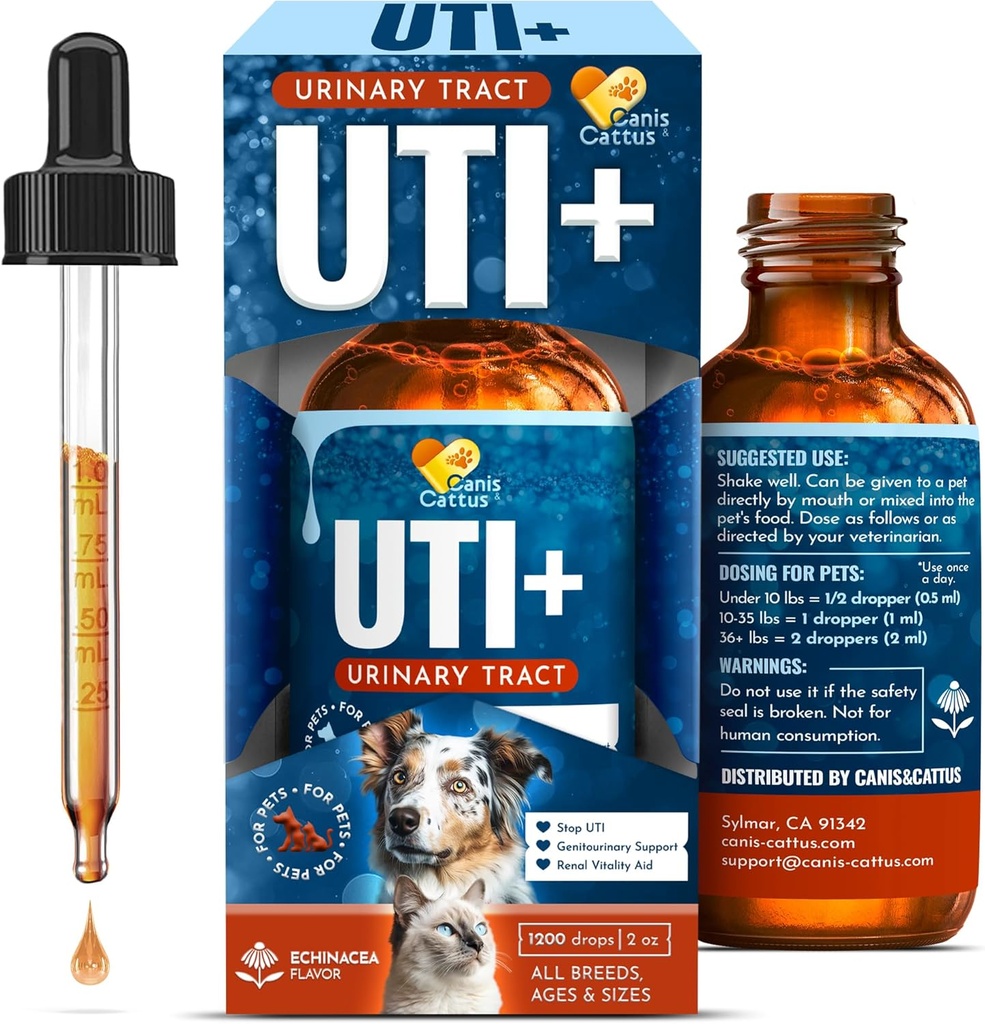 Supplément pour chats Support pour chiens Supplément pour herbes de chien Support pour chats
