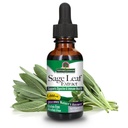 Nature's Answer Alcohol-Free Sage Leaf, 1-Fluid Ounce Sage Liquid Extract Gluten Free Sage Extract Supplement