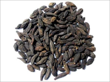 Carakanya noir perdu - Aralu - Noix d'encre - Haritaki - Kadukkai - Harar - Kali Harad - Terminalia Chebula (100g)