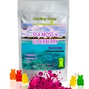 Irish Sea Moss Gummies – Raw Organic Wildcrafted Sun-Dried Seamoss Powder Gel - with Bladderwrack Burdock Root – Alkaline Keto Vegan Non-GMO Diet – Skin Detox (Elderberry-Mix)