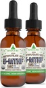 RawGuru Méthylfolate 1mg+ Vitamine B12 - Organic Vegan Méthylated B12 avec des minéraux traces - Nano-processé et formule liquide améliorée - 300 portions de gouttes végétaliennes par 30 ml, boîte de 2