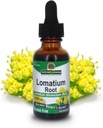 Nature= Réponse Extrait de racine de lomatium Dissectum de lomatium - Supplément naturel à base de plantes - Sans alcool gluten - Idéal pour l'immunité Santé globale – 500mg (1 FL Oz)