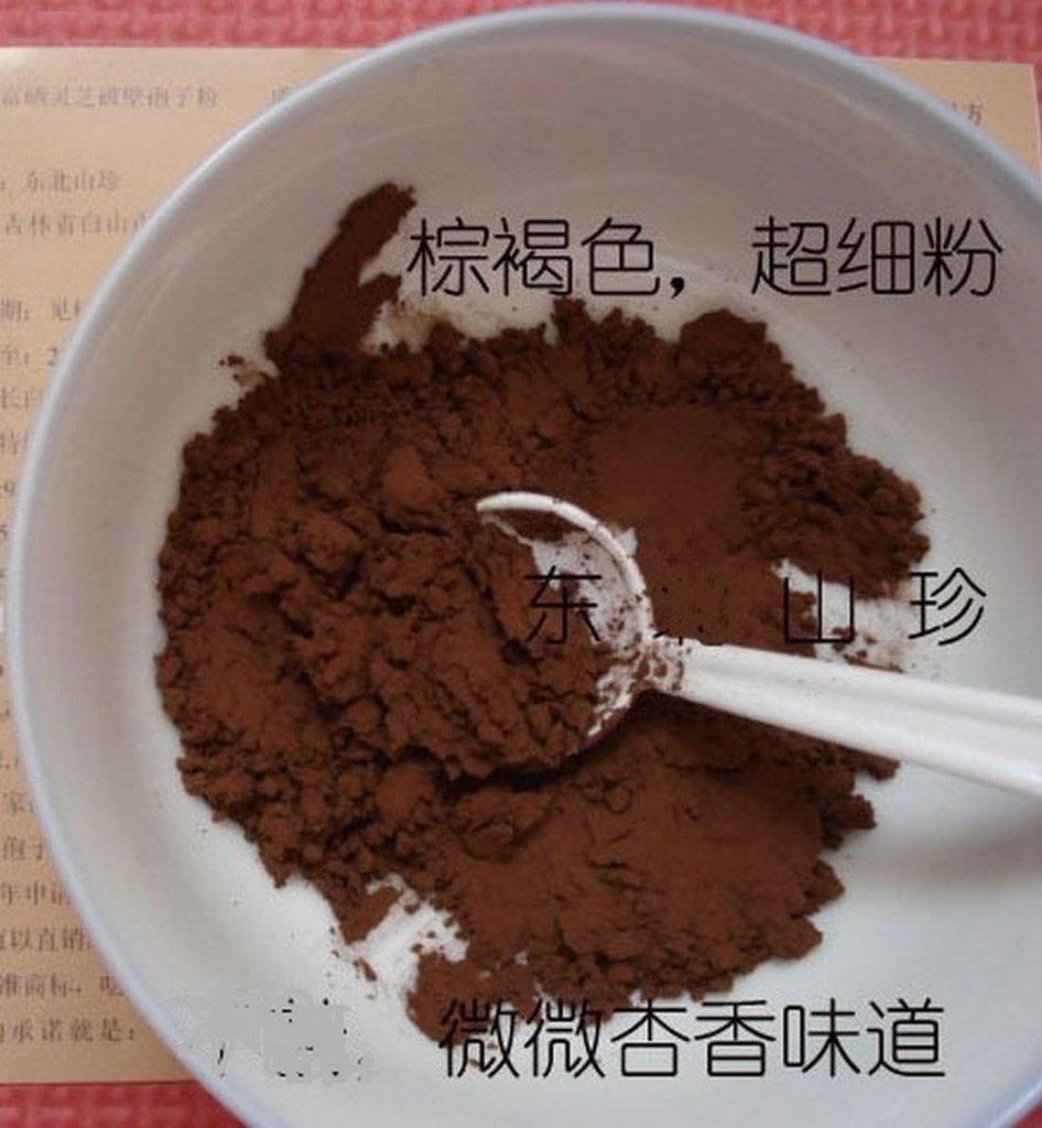 Duan-Wood 98 % Shell-Broked LINGZHI Ganoderma Reishi poudre de spore 100Grams (3,5 oz.) Paquet sous vide