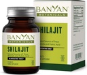 Banyan Botanicals Shilajit – Emplacement minéral biologique et durable – Supplément de Shilajit minéral pour la désintoxication naturelle et le vieillissement en santé* – 90 comprimés – Vegan non issu d'OGM