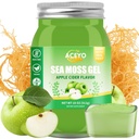 (18 OZ) Irish Sea Moss Gel Bio cru Végétalien Apple Saveur 102 Vitamines et Minéraux Sauvages récoltés Non-OGM Immune Defense Booster Thyroïde Soutien digestif