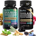 Garçon. Shilajit and Sea Moss Bundle- 90 Compte - Moss, huile de graines noires, Ashwagandha, Ginger & Shilajit, Rhodiola Rosea, Tous en 1 Suppléments (1 Pc)