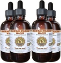 HawaiiPharm Maqui Extrait liquide, Maqui biologique (Aristotelia chilensis) Supplément de teinture 4x4 oz