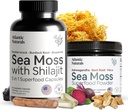 Atlantic Naturals Sea Moss Superfood Bundle - La mousse de mer avec Shilajit 5-en-1 Capsules & Poudre de mousse de mer avec Ashwagandha, Beet Root & Maca Root - Amélioration de la vitalité, de la peau et du support sportif 60 ct & 150g