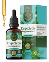 HERBAMAMA Cryptolepis Tincture - Vegan Cryptolepis Sanguinolenta Immunity Drops for Overall Detox - Non-GMO, Alcohol & Sugar-Free Immune Support Supplement