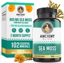 Pilules de mousse de mer d'Irlande - Dr Sebi Wildcrafted Seamoss Capsules de thyroïde, de peau saine et de soutien Gut