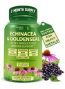 Echinacea Capsules de seaux d'or - Supplément de soutien immunitaire de 10 en 1 - 1455mg - Supplément de capsules d'echinacea végétaliens fabriqués avec des aliments entiers biologiques - Soutien du système immunitaire à base de plantes - 2 mois d'approvisionnement
