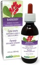 Naturalma Barberry (Berberis vulgaris) Aboiement racine Teinture sans alcool - 4 fl oz Extrait liquide dans les gouttes - Supplément à base de plantes - Vegan
