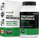 Renouveler les actifs Moringa Feuille Supplément 800MG par 2 capsules- Antioxydant-Rich Moringa Oleifera - Promotion de la bonne santé et du bien-être - Facile à avaler - Fabriqué au Canada - 120 capsules