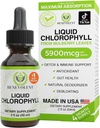 Gouttes liquides de chlorophylle - Détox et immunosupport, Désodorisant interne et supplément pour la santé de la peau, non OGM, approvisionnement de 4 mois, saveur de menthe naturelle