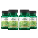 Swanson L. Reuteri Probiotic Plus w/L. Rhamnosus L. Acidophilus & FOS Prebiotic Digestive Support - Promotion de la santé Gut w/ 7 Million CFU par gélule - (30 Capsules de Veggie) (4 Pack)